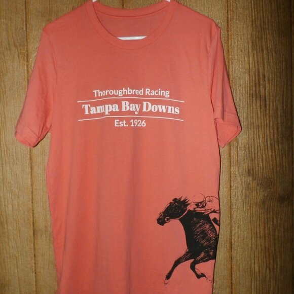 New Next Level Gray Tampa Bay Downs Thoroughbred Racing   T-Shirt Med - Picture 6 of 7
